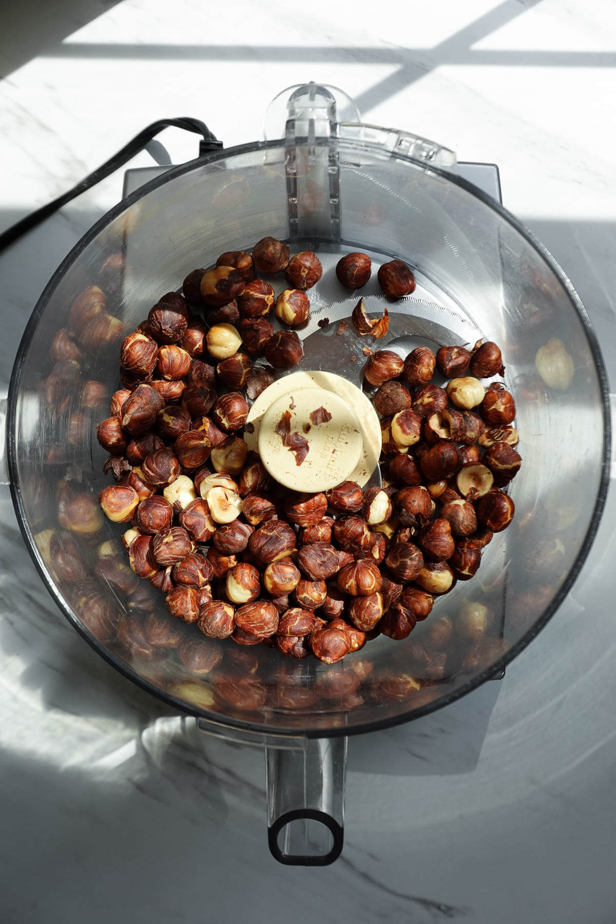 Roasted hazelnuts in a food processor.