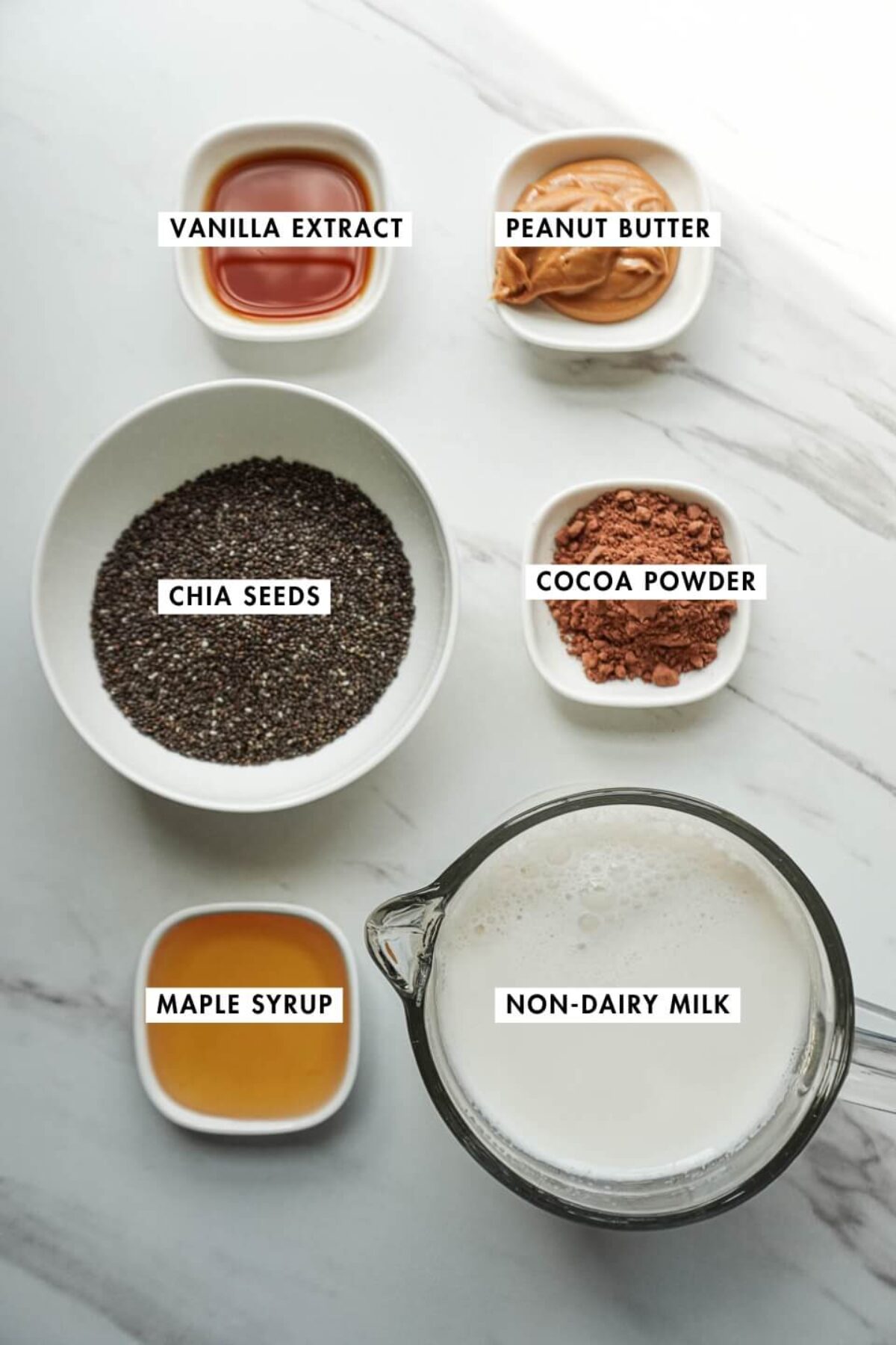 Ingredients for chocolate peanut butter chia pudding including chia seeds, cocoa powder, peanut butter, and non-dairy milk