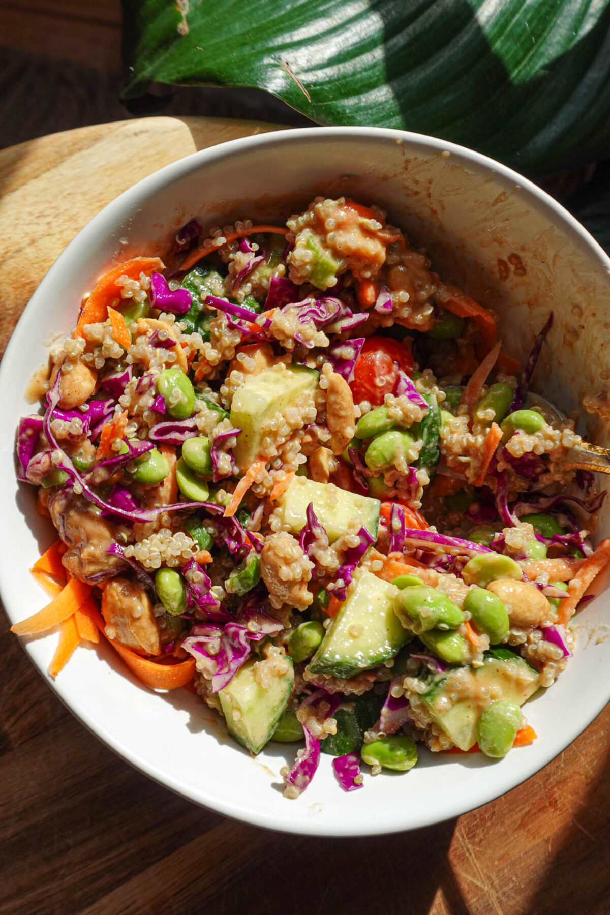 Crunchy vegan thai quinoa salad in a bowl