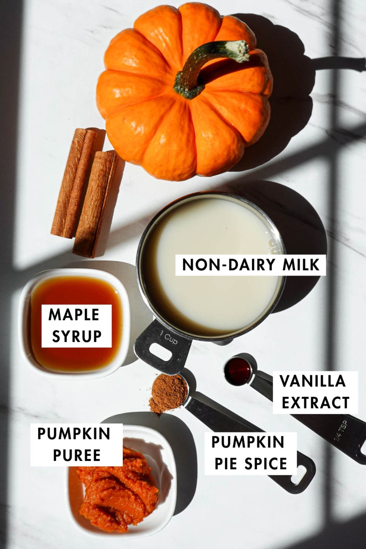Overhead shot of ingredients for pumpkin spice chai latte: chai tea bag, pumpkin puree, maple syrup, pumpkin pie spice, vanilla, and non-dairy milk.