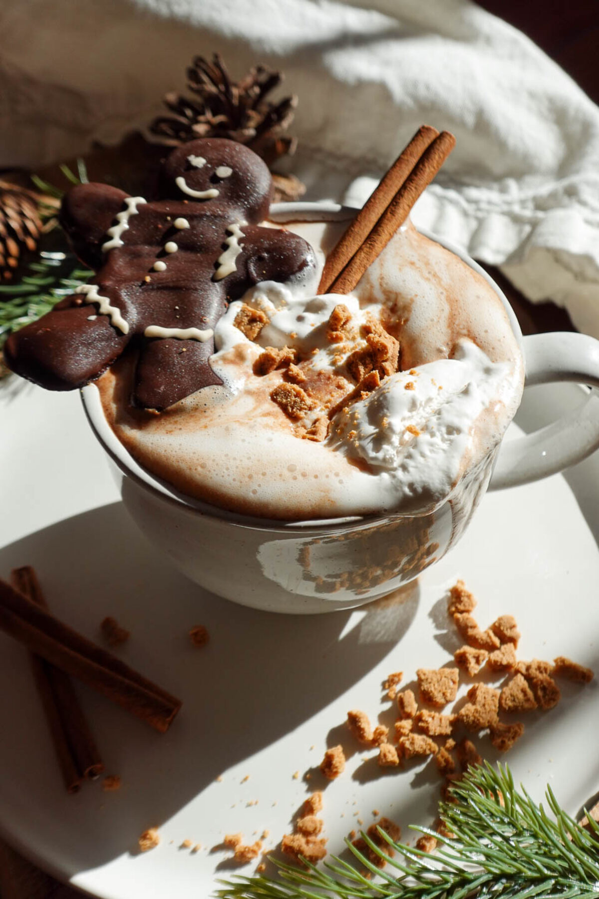 Close-up of creamy gingerbread hot chocolate in a cozy mug with vegan whipped cream, a chocolate gingerbread cookie, crushed gluten-free gingerbread cookies, and gingerbread spices.