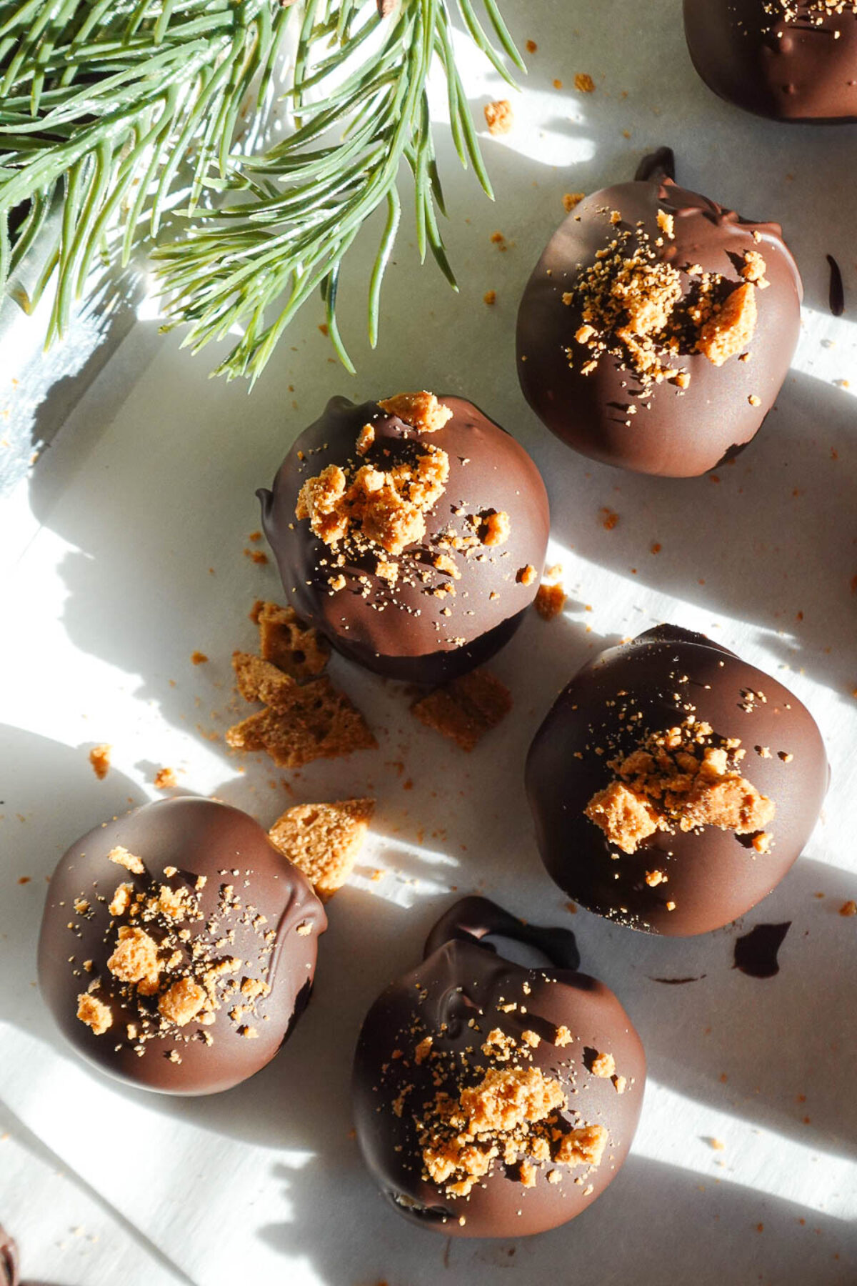 overhead shot of vegan chocolate gingerbread truffles topped with crushed gingerbread cookies