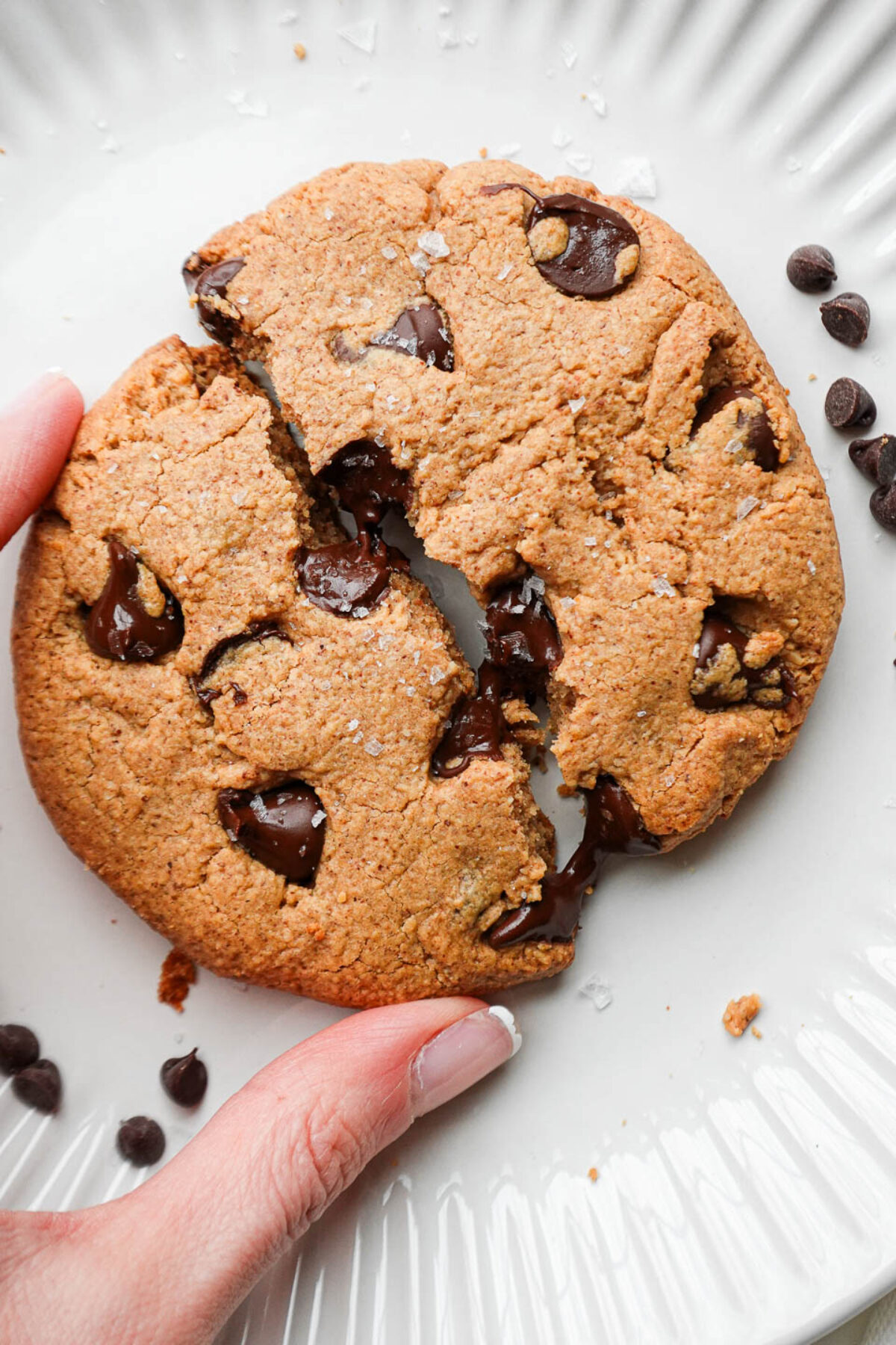 Warm single serve chocolate chip cookie being torn in half, revealing a gooey, melty chocolate center.