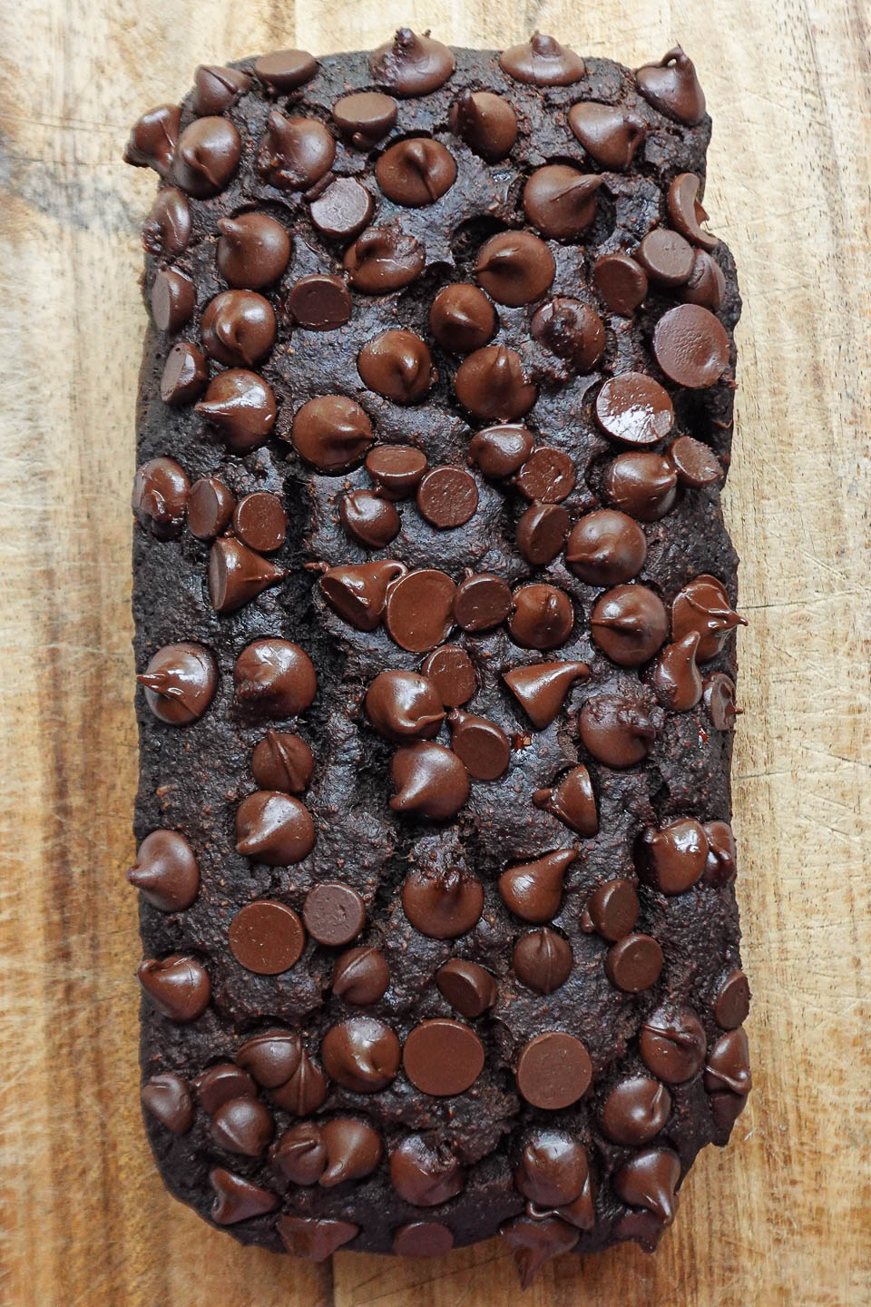 Freshly baked loaf of vegan gluten-free chocolate banana bread topped with chocolate chips.