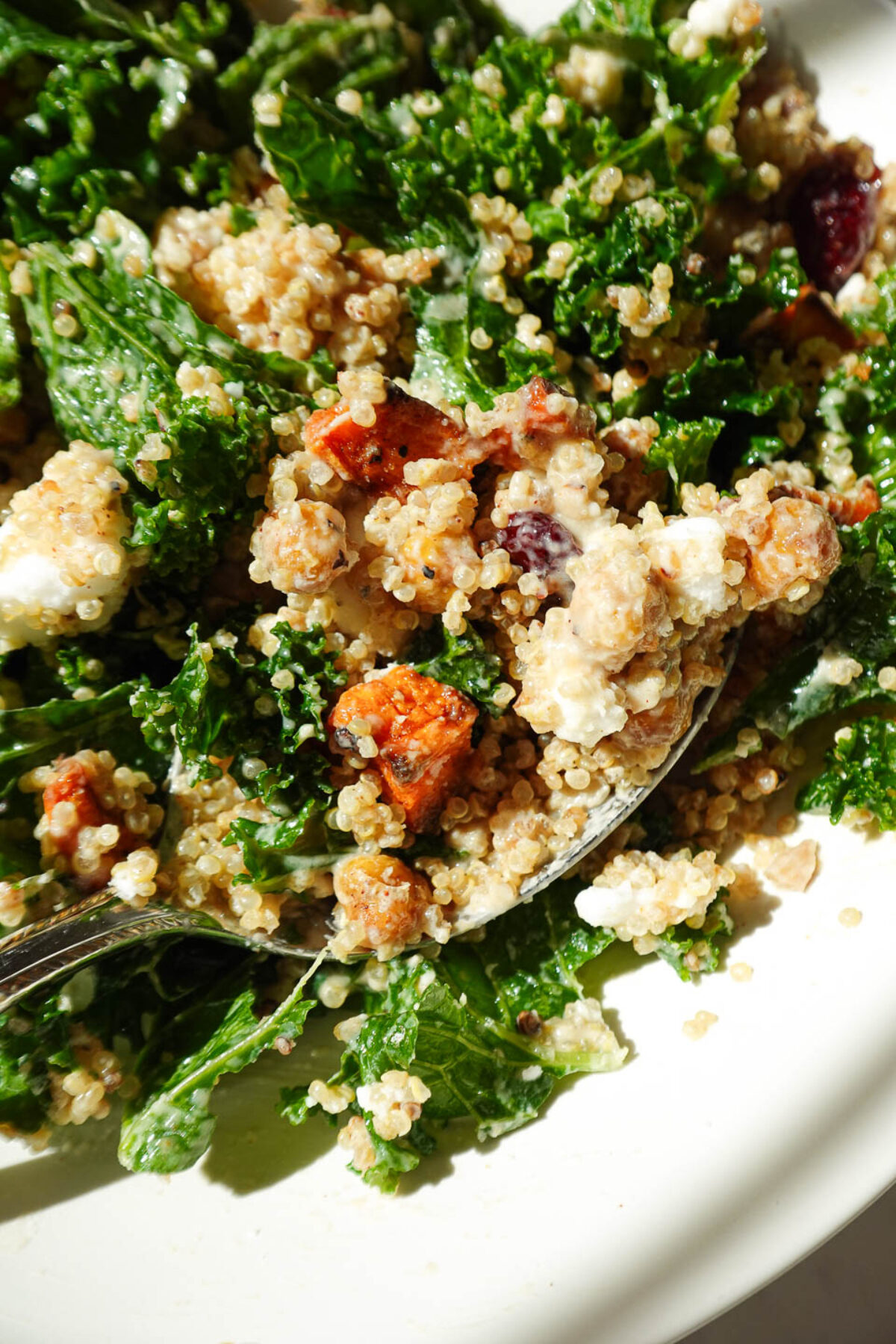 close up of spoon with kale quinoa salad drizzled with creamy maple tahini dressing