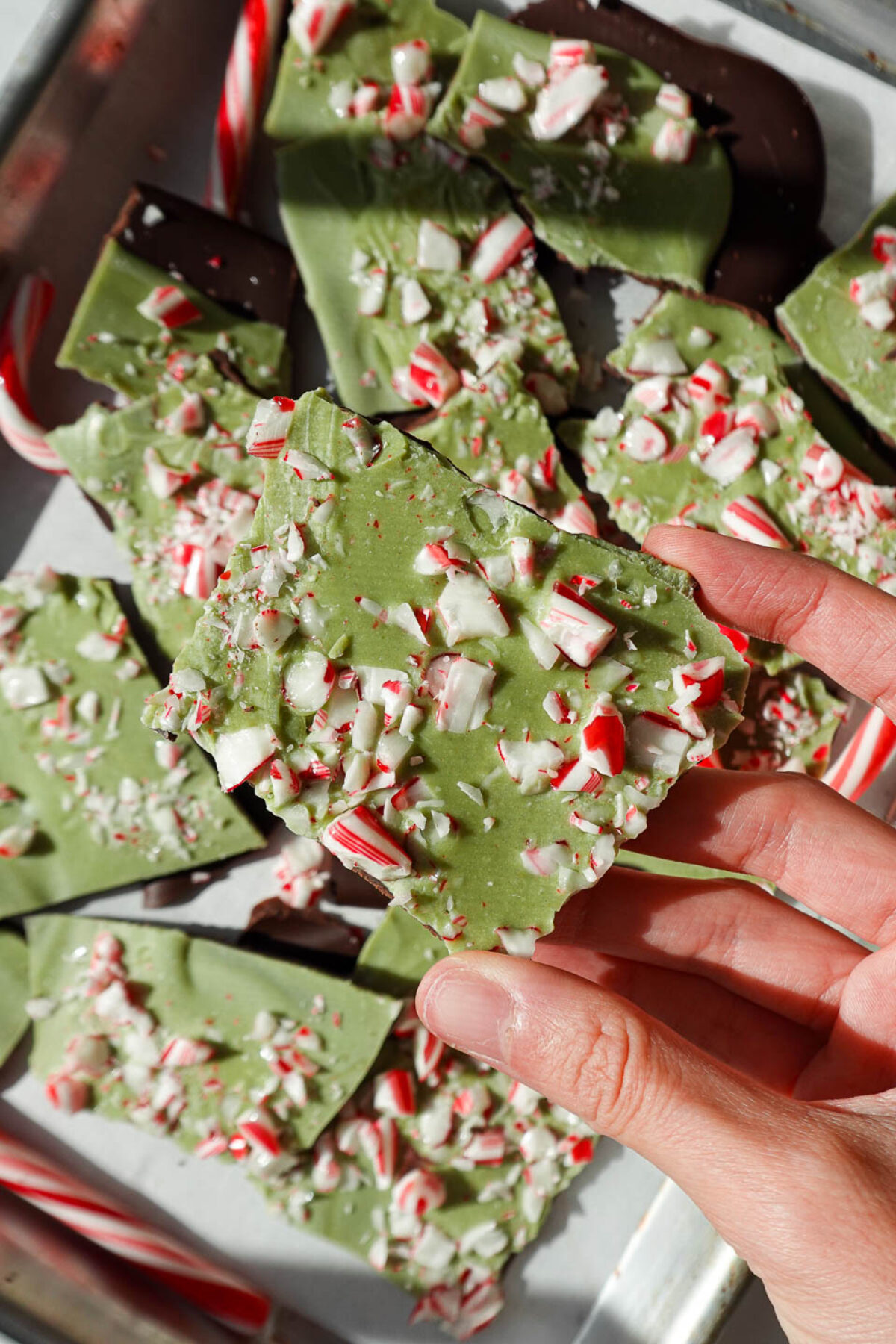 Vegan matcha peppermint bark broken into pieces and topped with crushed candy canes.