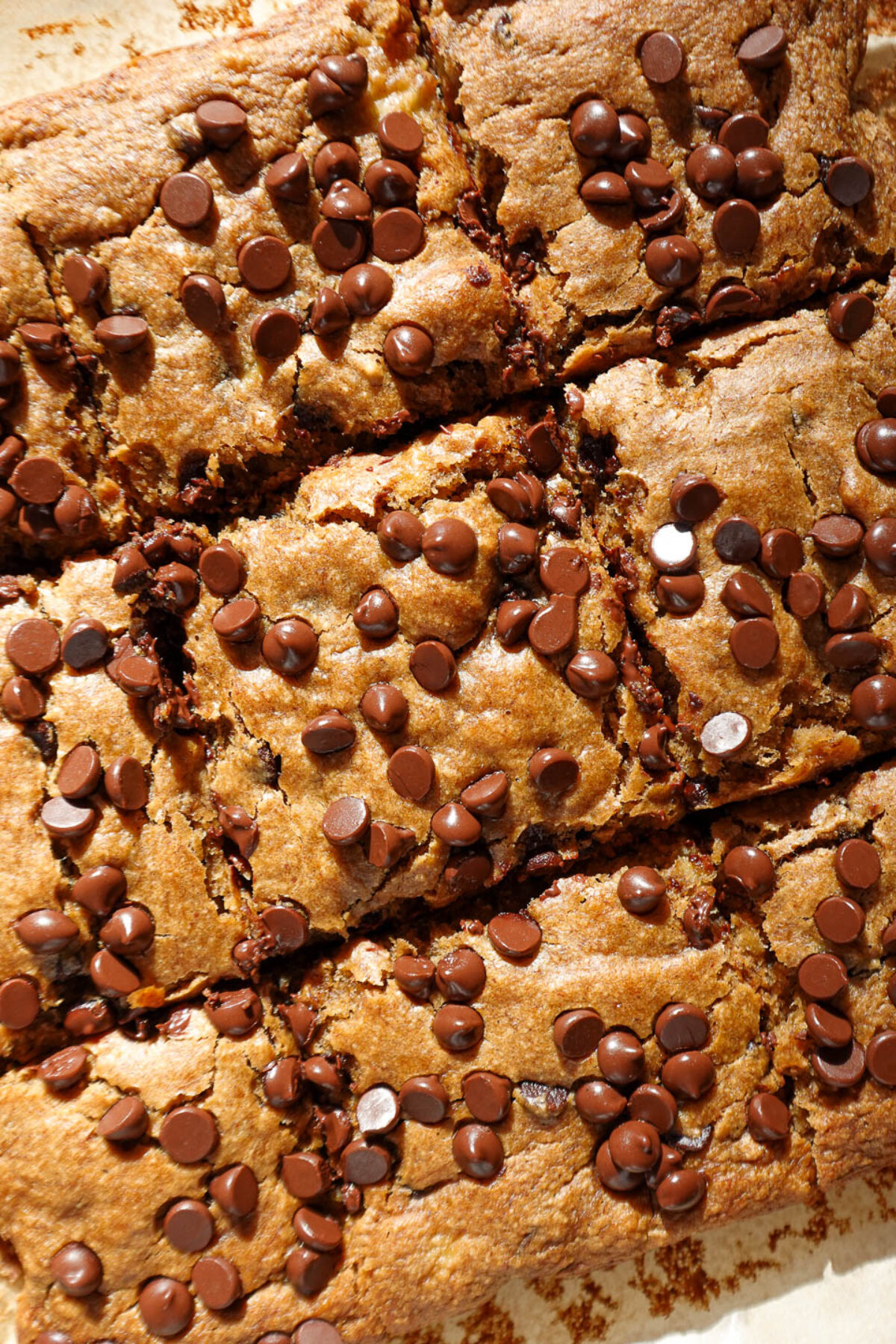 Vegan and gluten-free chocolate chip banana bars sliced into squares.