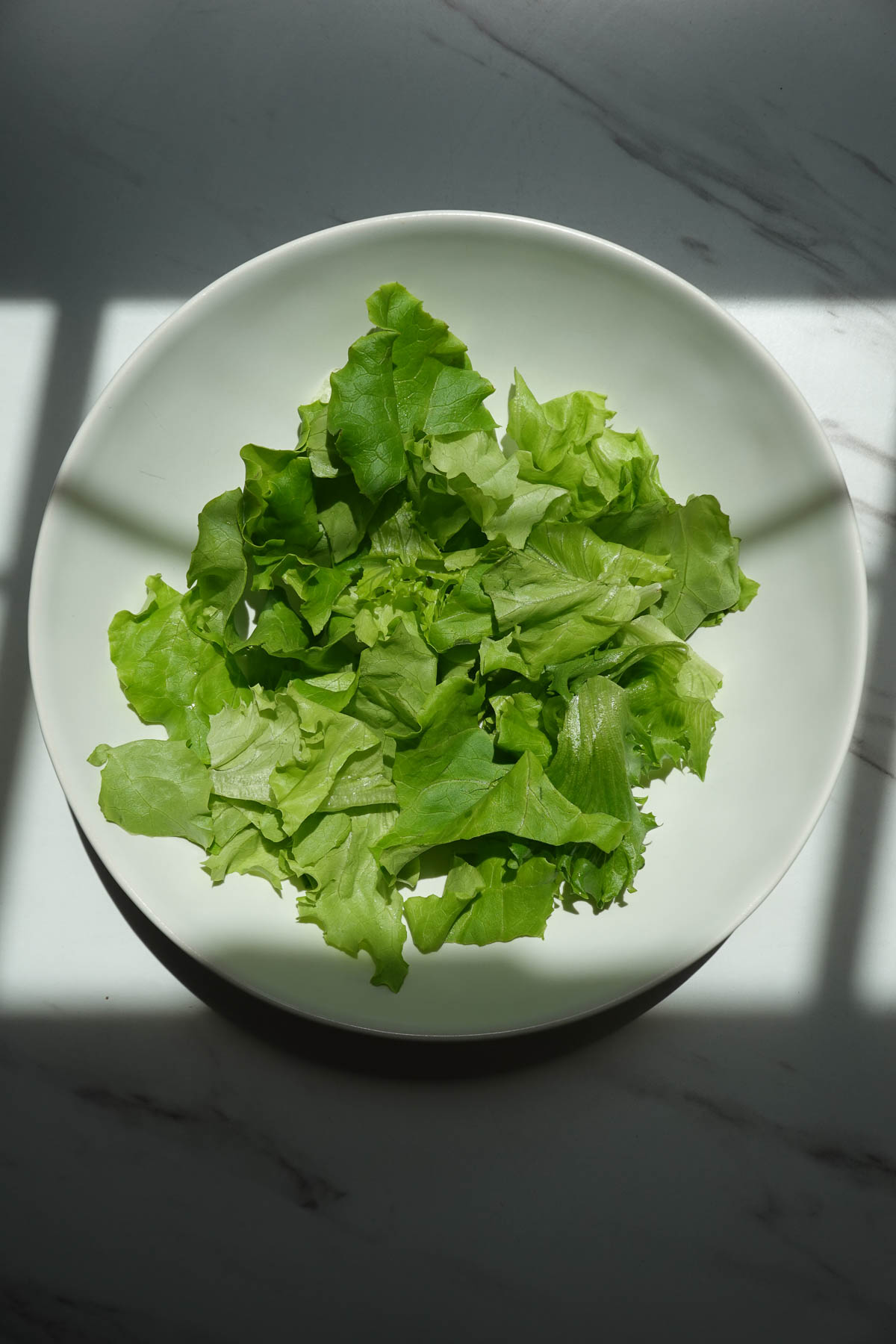 Lettuce in a bowl.